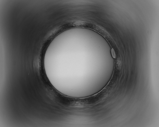 X0000096720732200802191528