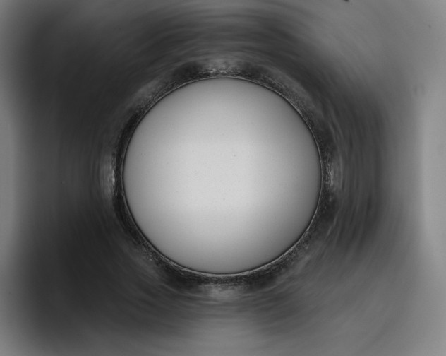 X0000096720733200802191528