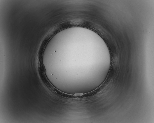 X0000096720734200802191528