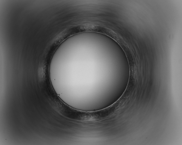 X0000096720735200802191528