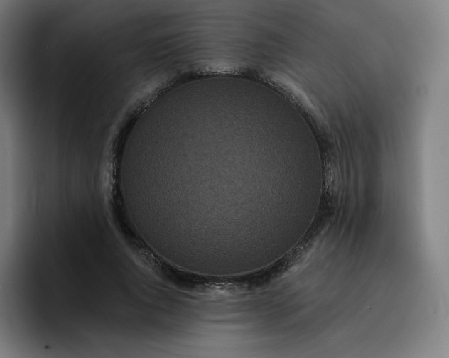 X0000096720736200802191528