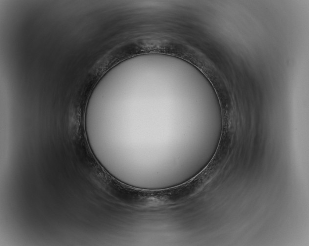 X0000096720737200802191528