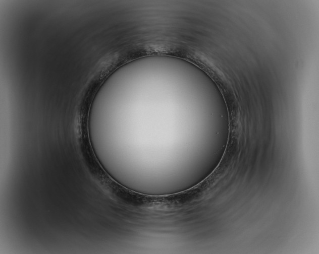 X0000096720738200802191528