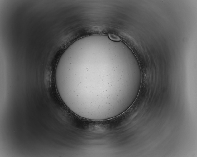 X0000096720739200802191528