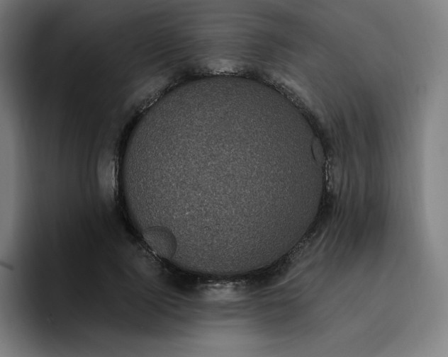 X0000096720740200802191528