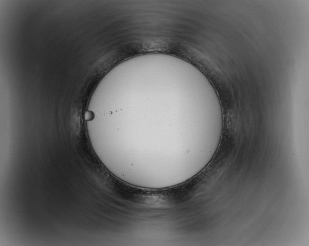 X0000096720741200802191528