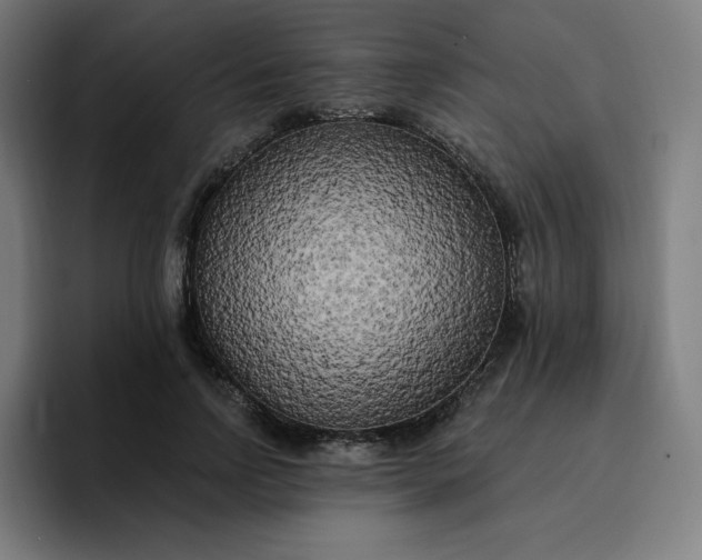 X0000096720742200802191528