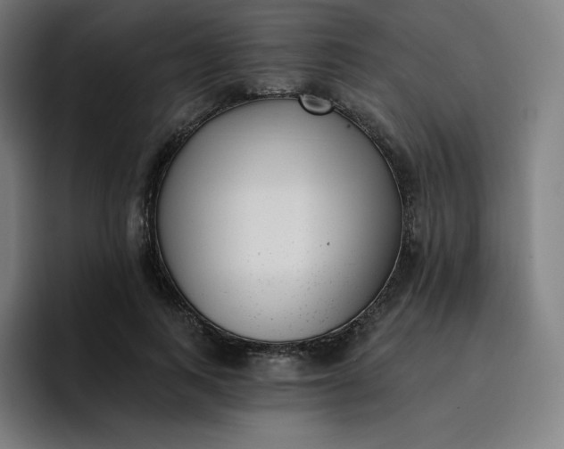 X0000096720743200802191528