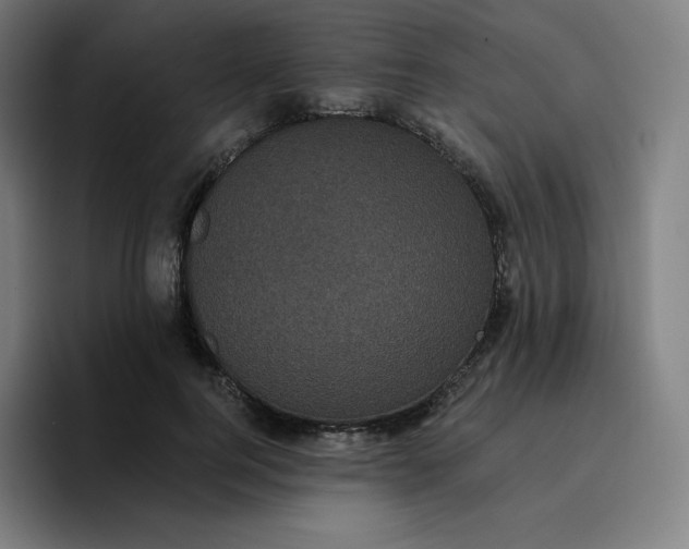 X0000096720744200802191528