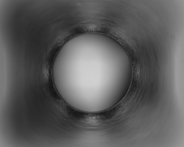 X0000096720746200802191528