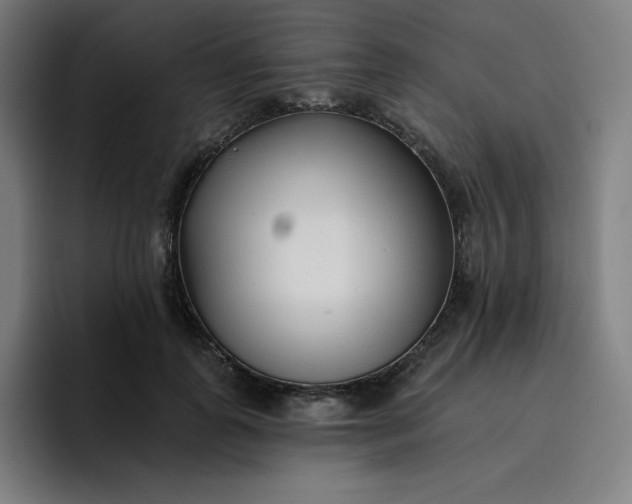 X0000096720747200802191528