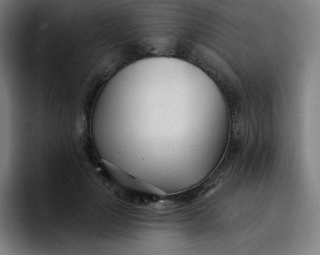 X0000096720748200802191528