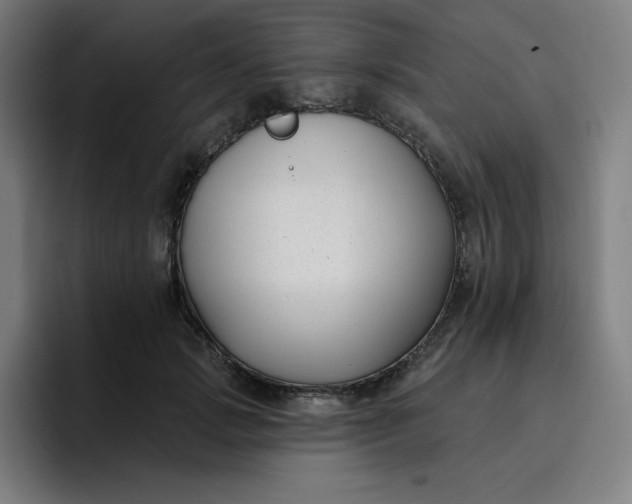 X0000096720749200802191528