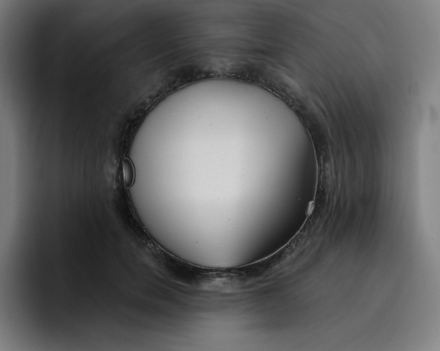 X0000096720750200802191528