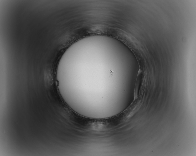 X0000096720751200802191528