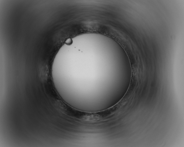 X0000096720752200802191528