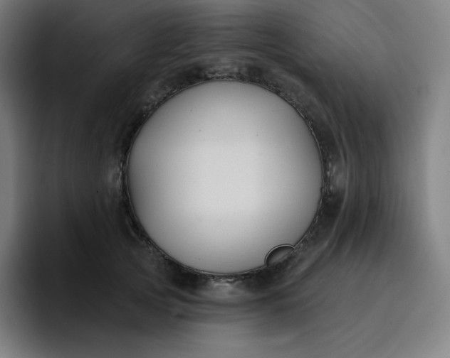 X0000096720753200802191528