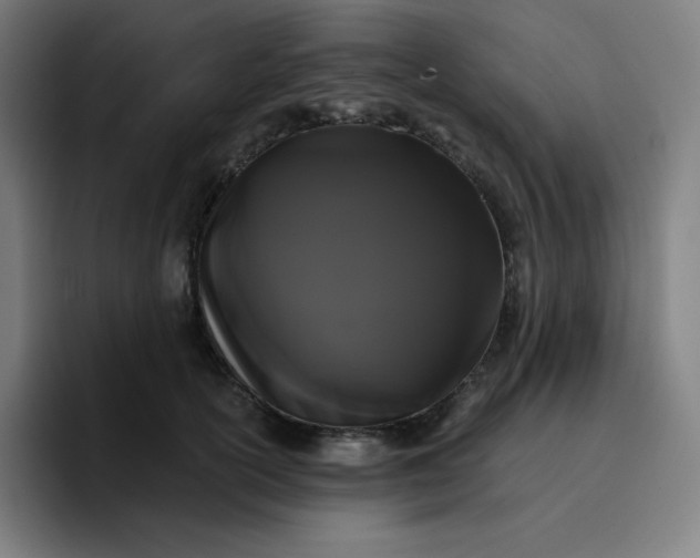 X0000096720754200802191528