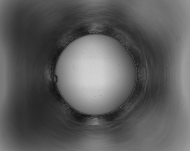 X0000096720755200802191528