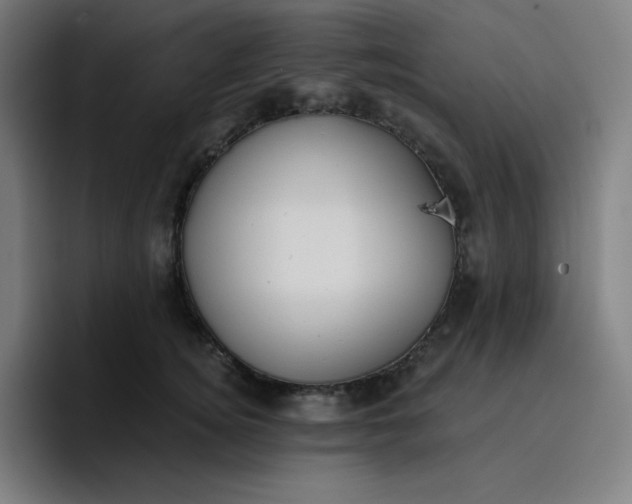 X0000096720756200802191528