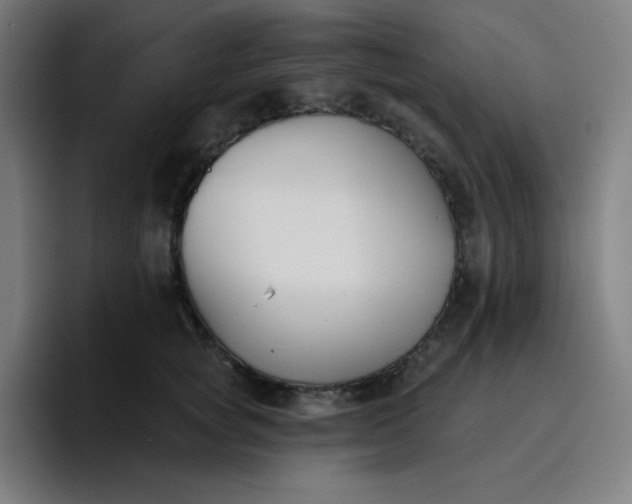 X0000096720757200802191528