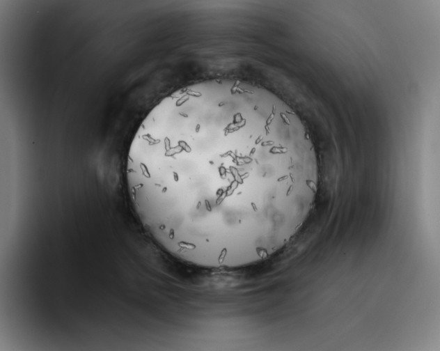 X0000096720758200802191528