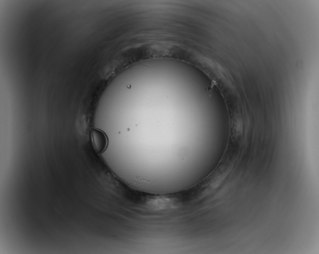 X0000096720759200802191528