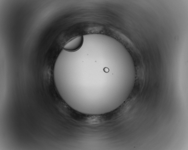 X0000096720761200802191528