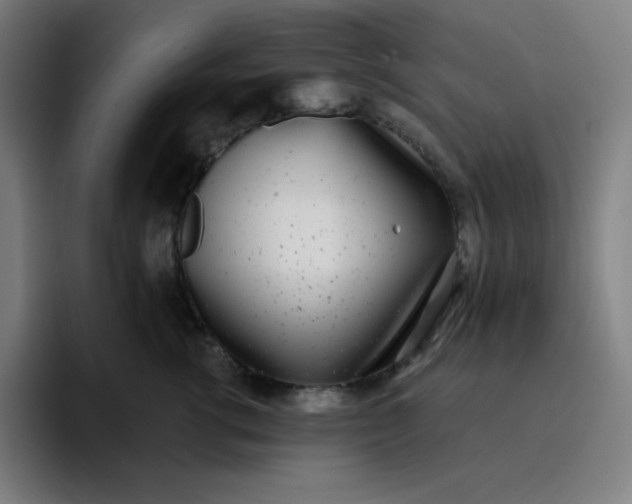 X0000096720762200802191528