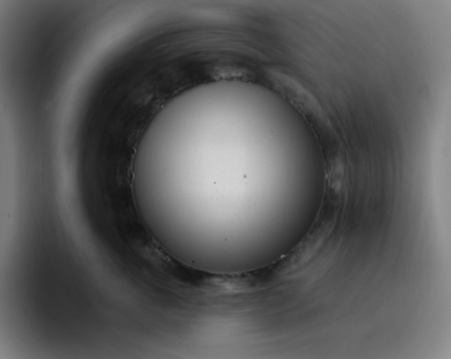 X0000096720763200802191528