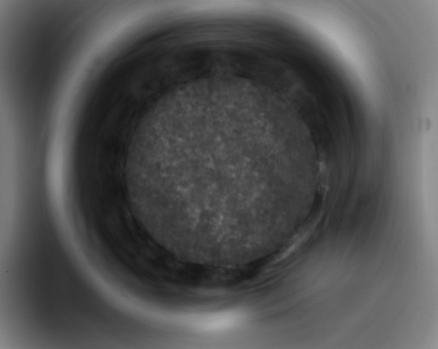 X0000096720765200802191528