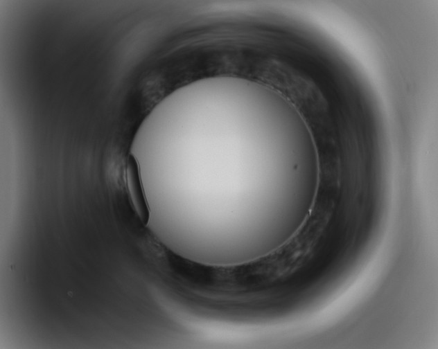 X0000096720766200802191528