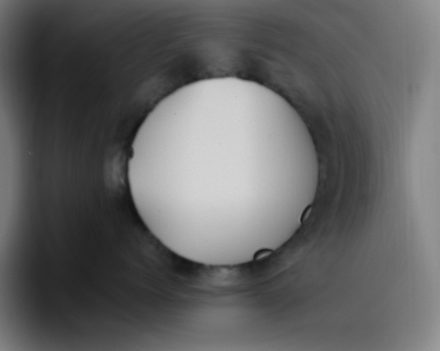 X0000096720768200802191528