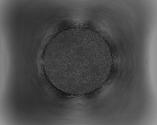 X0000096720769200802191527