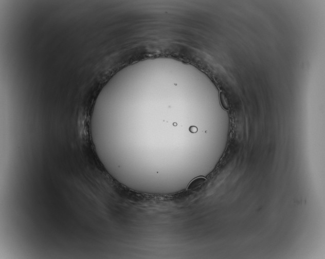 X0000096720770200802191527