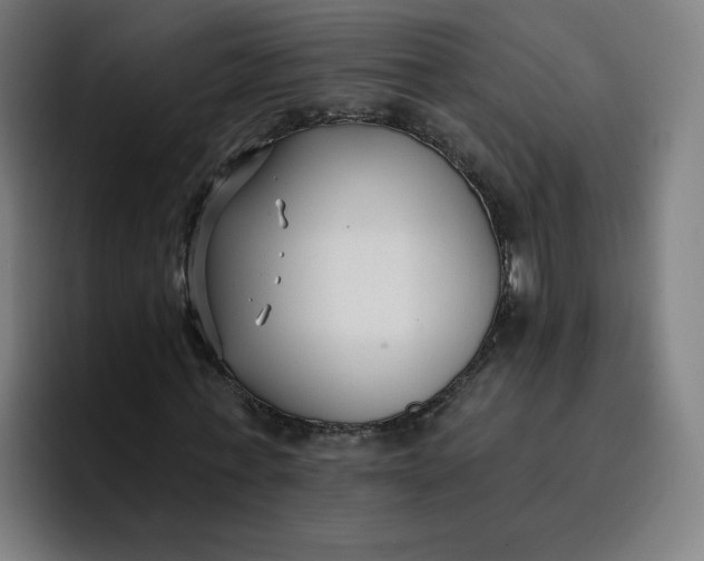 X0000096720771200802191527