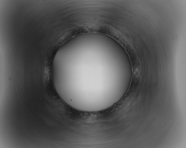 X0000096720772200802191527