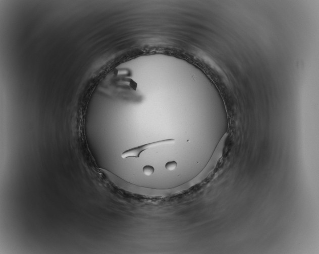 X0000096720775200802191527