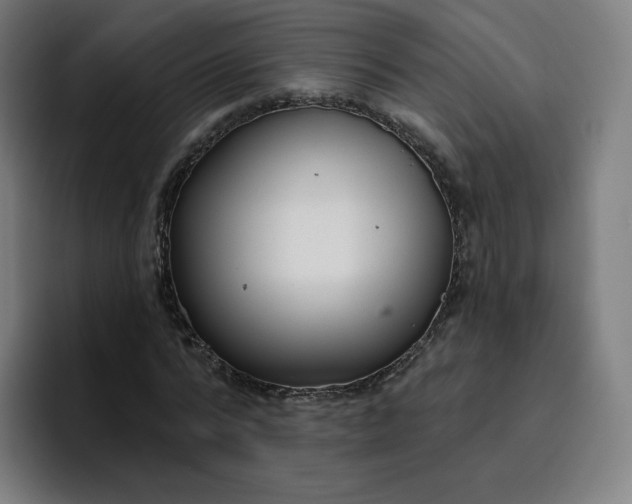 X0000096720776200802191527