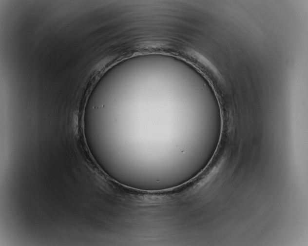 X0000096720777200802191527