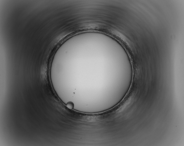 X0000096720778200802191527