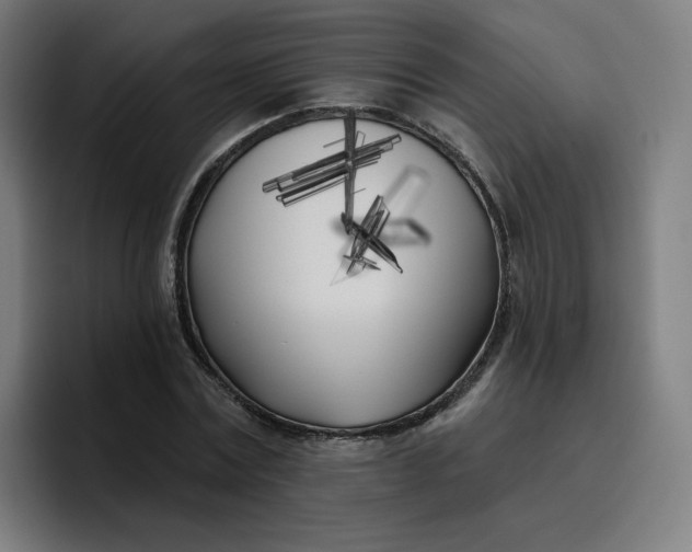 X0000096720779200802191527