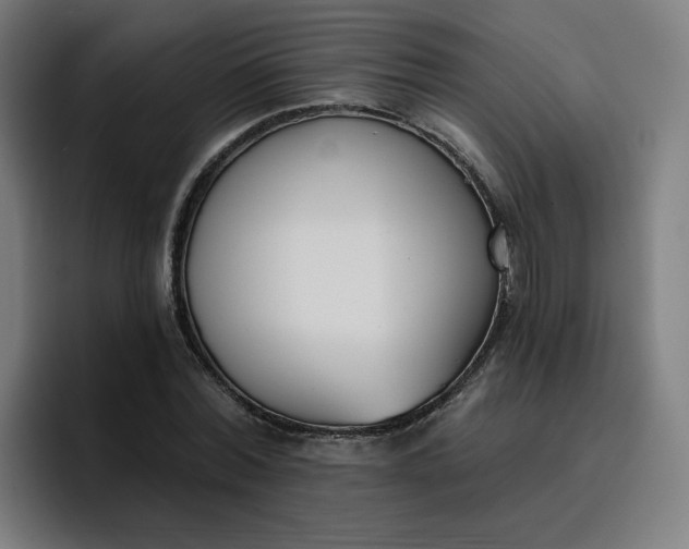 X0000096720780200802191527