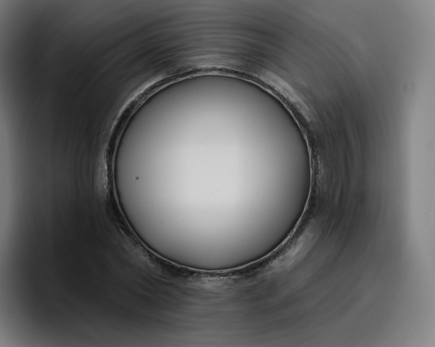 X0000096720782200802191527