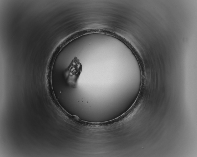 X0000096720783200802191527