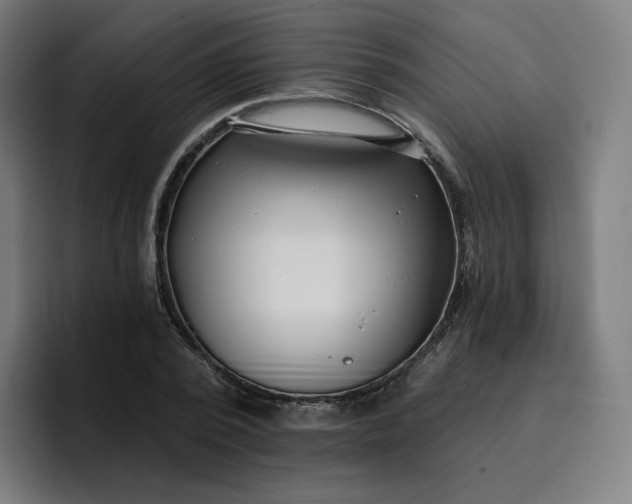 X0000096720784200802191527