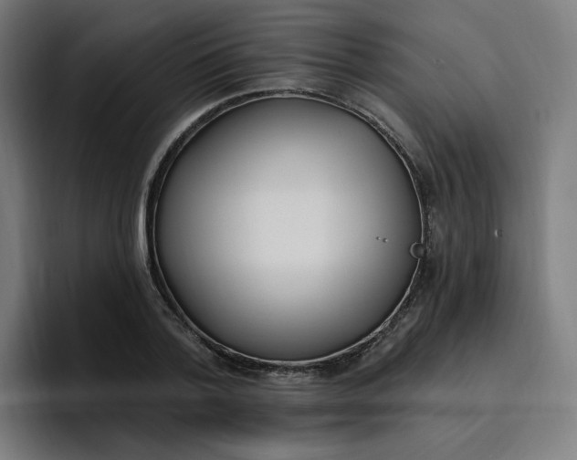 X0000096720788200802191527