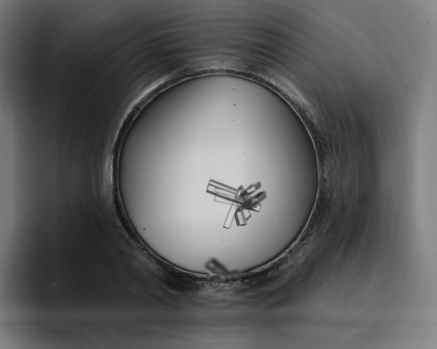 X0000096720790200802191527