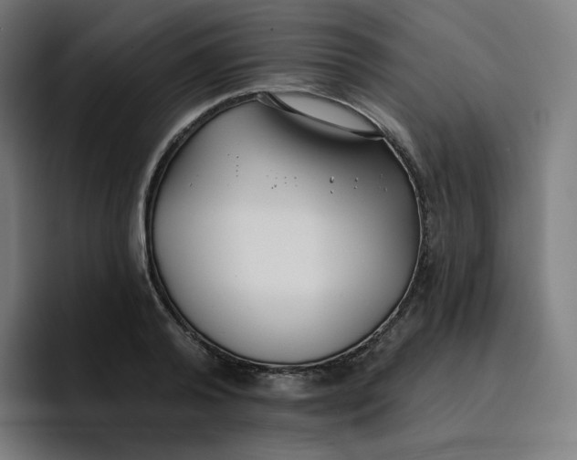 X0000096720792200802191527