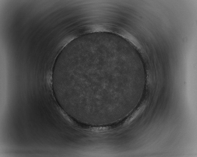 X0000096720793200802191527